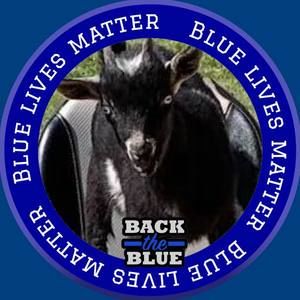 Meet your Posher, Judy